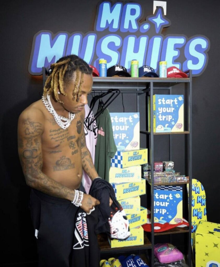 mrmushiesco.com